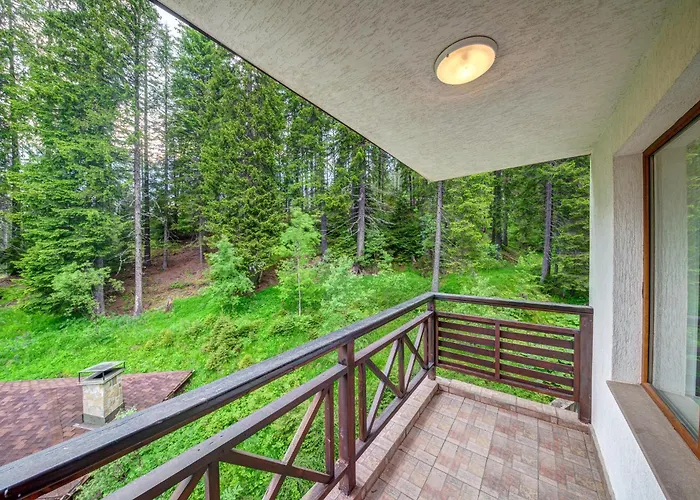 The Stream Pamporowo